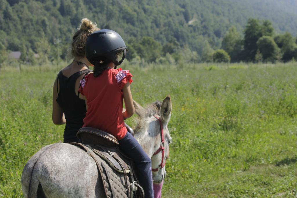 Wolf Village Demonte Dış mekan fotoğraf